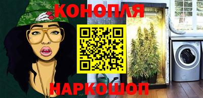 прущие крисы Камышлов