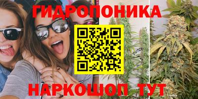 прущие крисы Камышлов