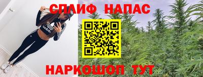 прущие крисы Камышлов